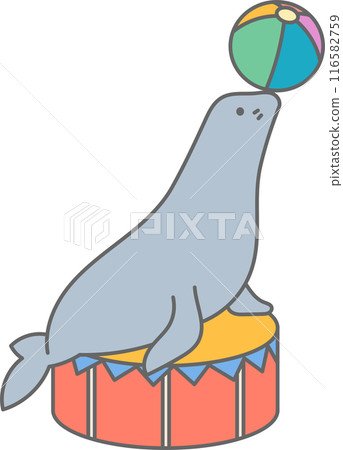 Sea lion performing in a circus 116582759