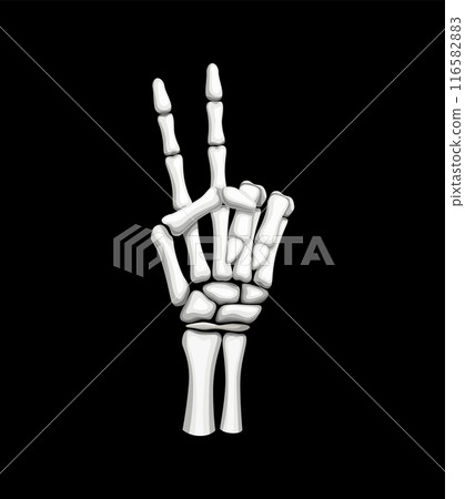 Skeleton hand forming the iconic V for victory or number two gesture. Isolated vector skeletal arm with outstretched bony fingers, symbolizing triumph and success with eerie, Halloween charm Skeleton hand forming the iconic V for victory or number two gesture. Isolated vector skeletal arm with outstretched bony fingers, symbolizing triumph and success with eerie, Halloween charm 116582883