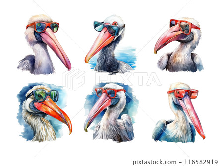 Cute watercolor painting style illustration of Pelican, isolated on white background 116582919