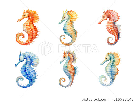 Sea Horse, Summer Illustration. Watercolor Style. 116583143