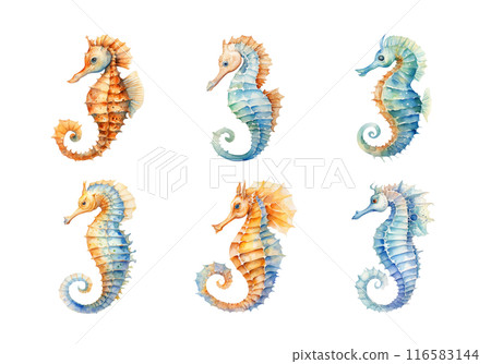Cute watercolor painting style illustration of Sea Horse, isolated on white background 116583144