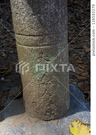 松江薩主月輝時、不舞公公鬆平家的墓地 松江薩主月輝時、不舞公公鬆平家的墓地 116583179