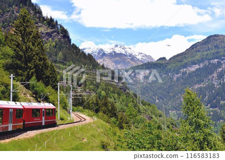 After passing Alpgrüm station, the train starts heading downhill. After passing Alpgrüm station, the train starts heading downhill. 116583183