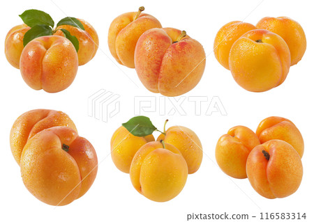 Realistic photo illustration of Apricot, isolated on transparent background Realistic photo illustration of Apricot, isolated on transparent background 116583314