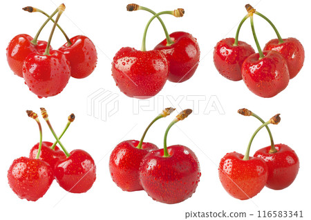 Cherry, fruit realistic Illustration. Realistic PNG file. Mockup template for artwork graphic design Cherry, fruit realistic Illustration. Realistic PNG file. Mockup template for artwork graphic design 116583341