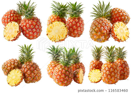 Pineapple, fruit realistic Illustration. Realistic PNG file. Mockup template for artwork graphic design 116583460