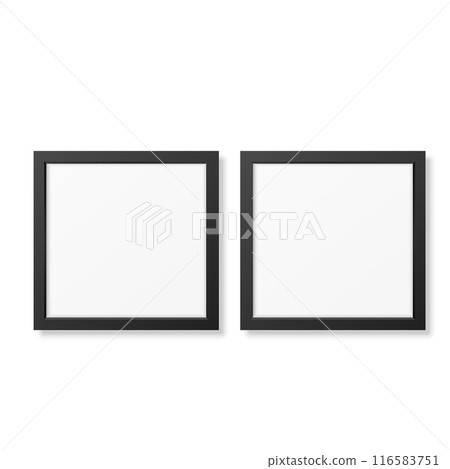 Two vector picture frames, black and white, isolated, simple design 116583751