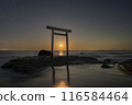 Torii gate standing in the sea and the moon setting between them, horizontal composition 116584464
