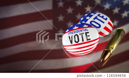 The Brooch on flag for United States presidential election concept 3d rendering. The Brooch on flag for United States presidential election concept 3d rendering. 116584656