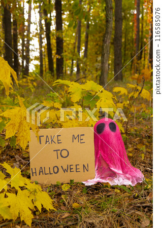 Halloween holiday concept. Handmade pink ghost with cardboard message TAKE ME TO HALLOWEEN made from bandages and glue in autumn forest background. Children's art project. DIY 116585076