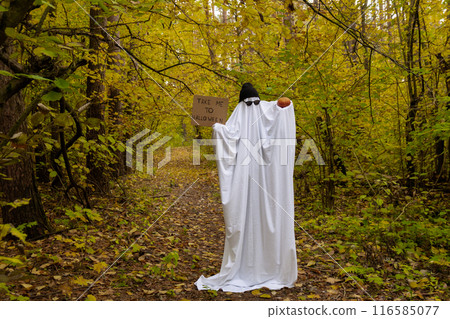 Happy Halloween holiday. Cute unrecognizable person holding cardboard with text TAKE ME TO HALLOWEEN and pumpkin in ghost costume on fall forest background. Creative costume with white and black cap 116585077
