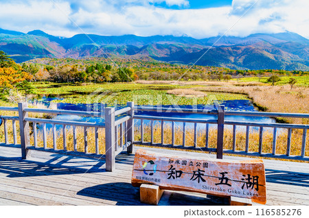 北海道知床五湖紅葉～市湖與知床山脈～ 116585276