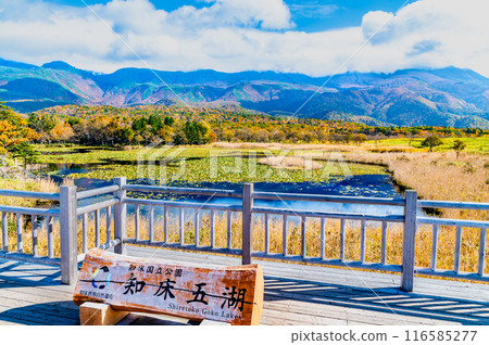 北海道知床五湖紅葉～市湖與知床山脈～ 116585277