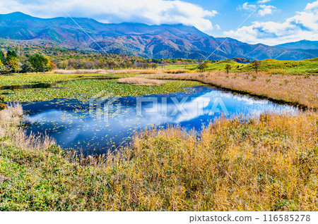 北海道知床五湖紅葉～市湖與知床山脈～ 116585278