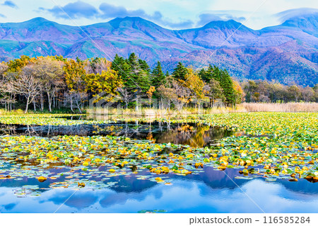 Hokkaido: Shiretoko Five Lakes in Autumn - Lake Mirror and the Shiretoko Mountain Range Hokkaido: Shiretoko Five Lakes in Autumn - Lake Mirror and the Shiretoko Mountain Range 116585284