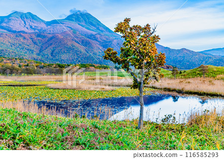 Hokkaido: Autumn leaves at the Shiretoko Five Lakes - Lake One and the Shiretoko Mountain Range Hokkaido: Autumn leaves at the Shiretoko Five Lakes - Lake One and the Shiretoko Mountain Range 116585293