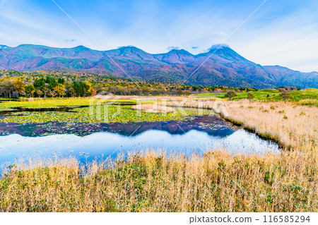 北海道知床五湖紅葉～市湖與知床山脈～ 116585294