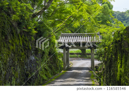 Koshoji Temple: Stone Gate and Kotozaka (Uji City, Kyoto Prefecture) Koshoji Temple: Stone Gate and Kotozaka (Uji City, Kyoto Prefecture) 116585546