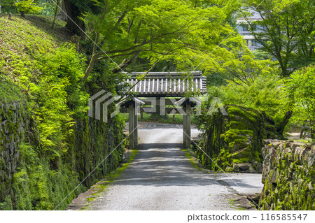Koshoji Temple: Stone Gate and Kotozaka (Uji City, Kyoto Prefecture) Koshoji Temple: Stone Gate and Kotozaka (Uji City, Kyoto Prefecture) 116585547