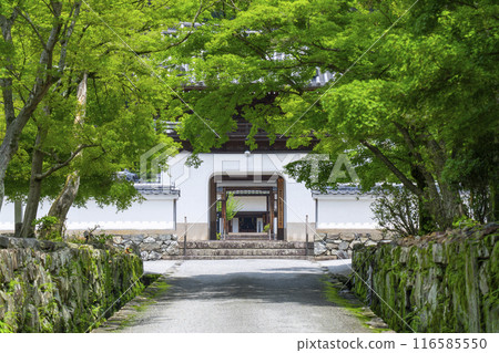 興勝寺琴坂與龍宮(京都府宇治市) 興勝寺琴坂與龍宮(京都府宇治市) 116585550