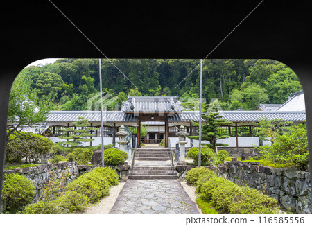 從龍宮看到的興勝寺正殿（京都府宇治市） 116585556