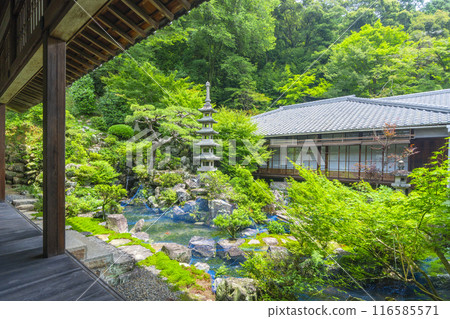 興勝寺大聖院前庭園(京都府宇治市) 興勝寺大聖院前庭園(京都府宇治市) 116585571