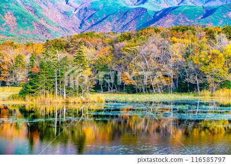 北海道知床五湖秋葉 - 兩湖水鏡 - 116585797
