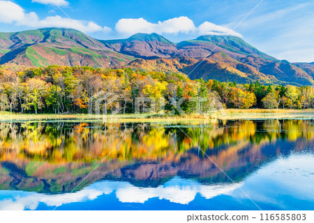 北海道知床五湖的紅葉～水鏡兩湖及知床山脈～ 116585803