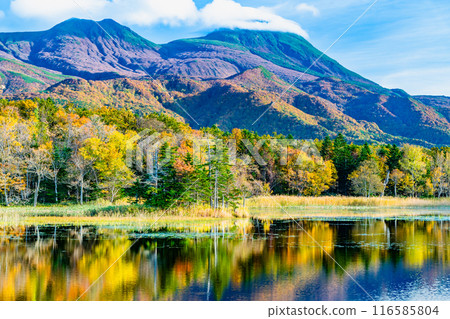 北海道知床五湖的紅葉~水鏡兩湖及知床山脈~ 北海道知床五湖的紅葉~水鏡兩湖及知床山脈~ 116585804