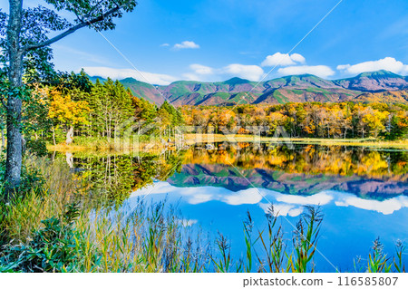 Hokkaido: Shiretoko Five Lakes in Autumn - Two Mirror Lakes and the Shiretoko Mountain Range Hokkaido: Shiretoko Five Lakes in Autumn - Two Mirror Lakes and the Shiretoko Mountain Range 116585807