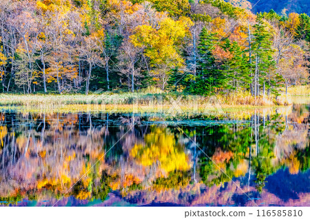 Hokkaido Shiretoko Five Lakes in Autumn - Two Mirror Lakes 116585810