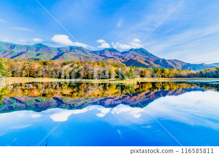Hokkaido: Shiretoko Five Lakes in Autumn - Two Mirror Lakes and the Shiretoko Mountain Range 116585811