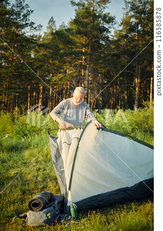 Vertical shot of senior Caucasian male tourist setting camp tent on meadow, copy space Vertical shot of senior Caucasian male tourist setting camp tent on meadow, copy space 116585878