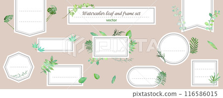 水彩畫的天然植物框架套裝:葉子、標籤、卡片 水彩畫的天然植物框架套裝:葉子、標籤、卡片 116586015