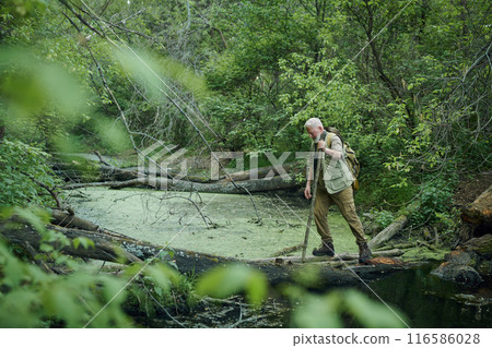 Wide shot of senior Caucasian male traveler hooding wooden stick crossing river in mountain forest, copy space 116586028