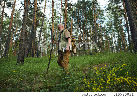 Wide shot of senior Caucasian man holding wooden stick and digital tablet hiking in mountain forest on summer day 116586031