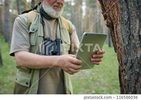 Bearded man working as ecologist or botanist taking photo of tree bark on digital tablet camera, medium shot 116586036