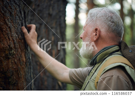 Medium closeup of bearded senior man standing in forest touching bark of tree 116586037