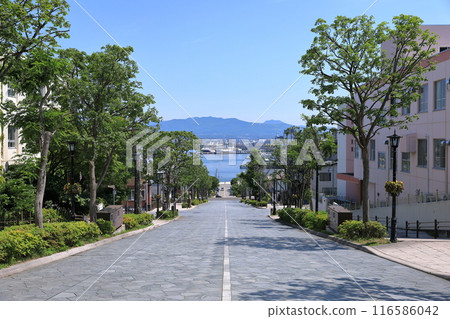Hakodate-Hachimanzaka③ Hakodate-Hachimanzaka③ 116586042