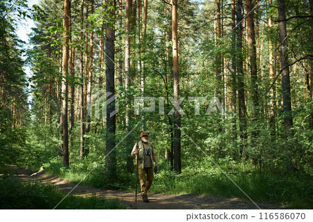 Extreme long shot of mature Caucasian man holding digital tablet and wooden stick walking along road in pine forest, copy space 116586070