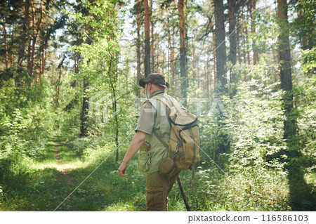 Unrecognizable mature male forester wearing backpack walking along woodland on summer day, copy space 116586103