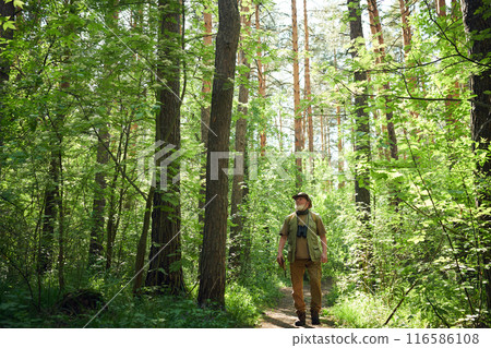 Extreme long shot of senior Caucasian naturalist holding notebook walking along forest and looking at trees on sunny summer day 116586108