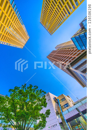 Tokyo cityscape in Japan: View of Nippori Station and the tower apartment complexes in front of the station, set against the greenery (July 5th) 116586198