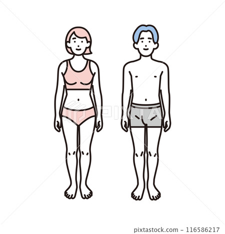 穿著內衣的男人和女人的簡單插圖全身前視圖 116586217