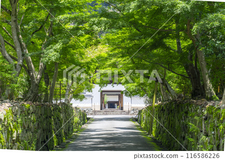 Koshoji Temple: Kotozaka and Ryugumon Gate (Uji, Kyoto Prefecture) Koshoji Temple: Kotozaka and Ryugumon Gate (Uji, Kyoto Prefecture) 116586226