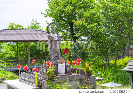 愛信院本堂(京都府宇治市) 愛信院本堂(京都府宇治市) 116586234