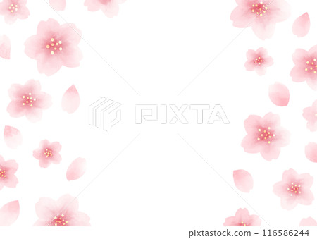 櫻花水彩風格框架 116586244
