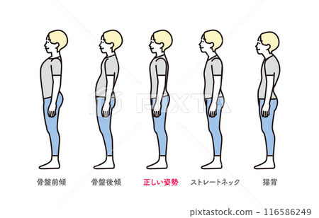 Simple illustration: Correct and bad posture, full body set illustration 116586249