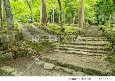 滋賀縣東近江市,從綠意盎然的百濟寺正殿通往彌勒坂之主殿的石階 滋賀縣東近江市,從綠意盎然的百濟寺正殿通往彌勒坂之主殿的石階 116586379