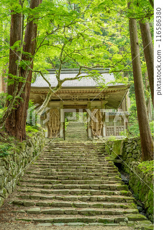 滋賀縣東近江市的仁王門,有一個巨大的草本,從百濟寺主寺的鮮綠植物通往正殿 滋賀縣東近江市的仁王門,有一個巨大的草本,從百濟寺主寺的鮮綠植物通往正殿 116586380